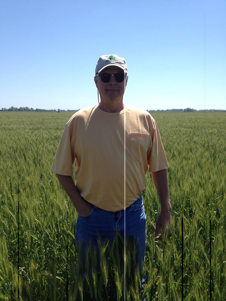Mike Lowe standing in his field